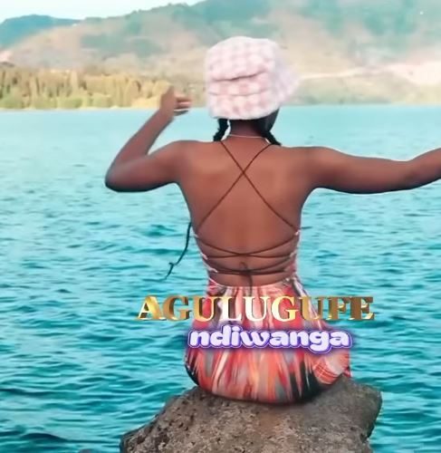 Ndiwanga cover